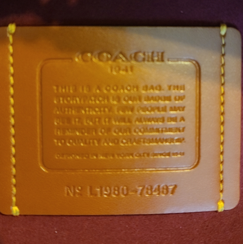 COACH TROUPE - Picture 7 of 10